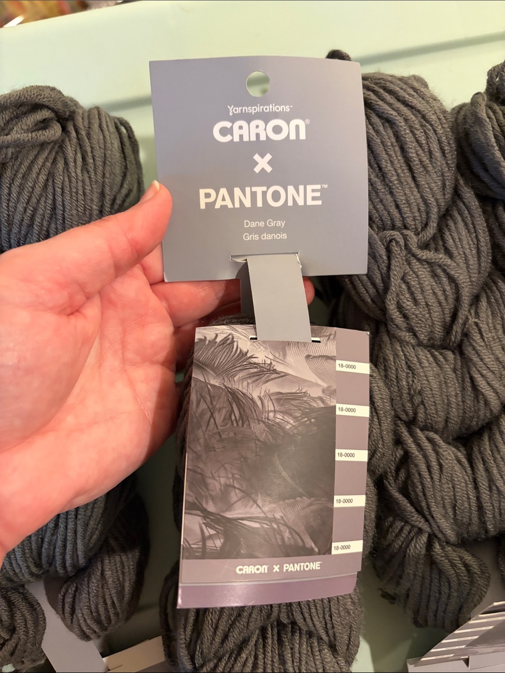 Caron x Pantone - Dane Grey - Picture 3 of 3